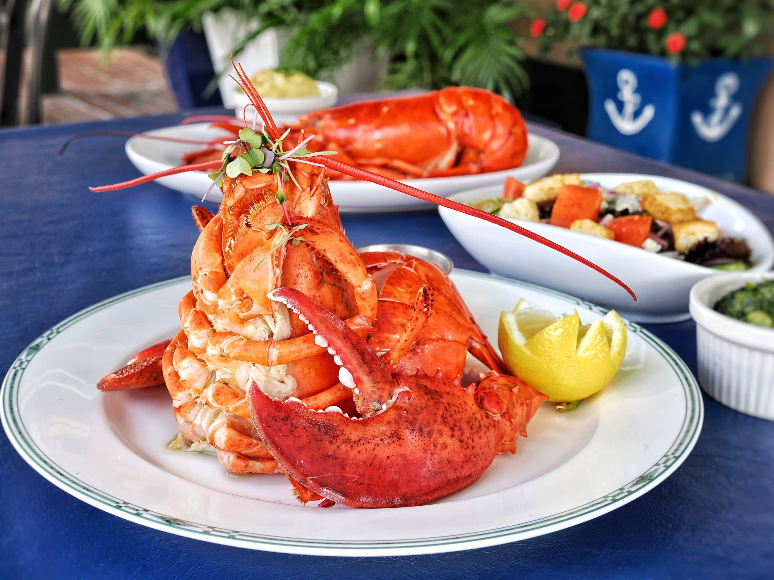 Nauti Lobster 1.5 lb Boiled Maine lobster and 1 lbs lobster special