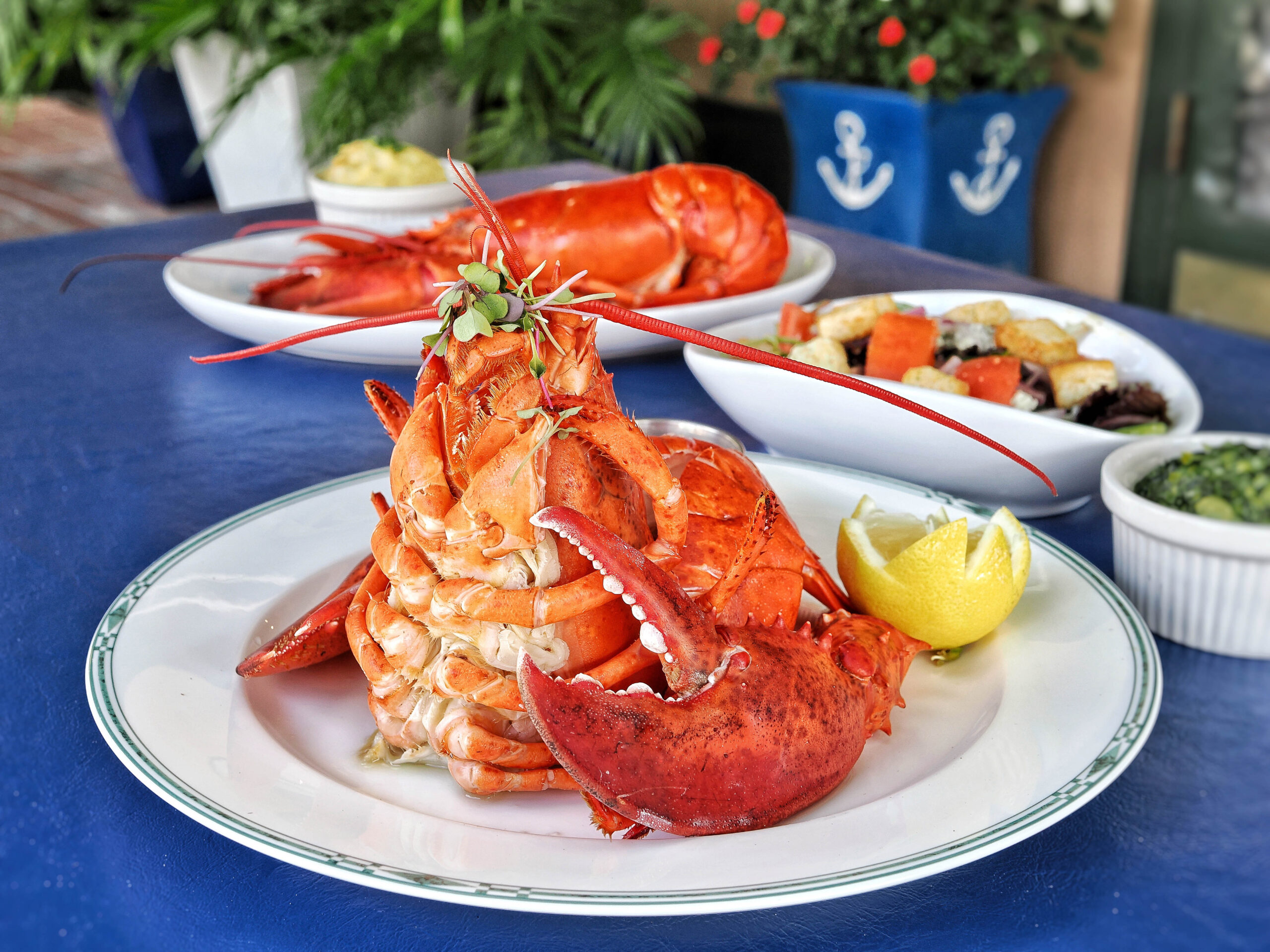 Blog Fresh Maine Lobsters