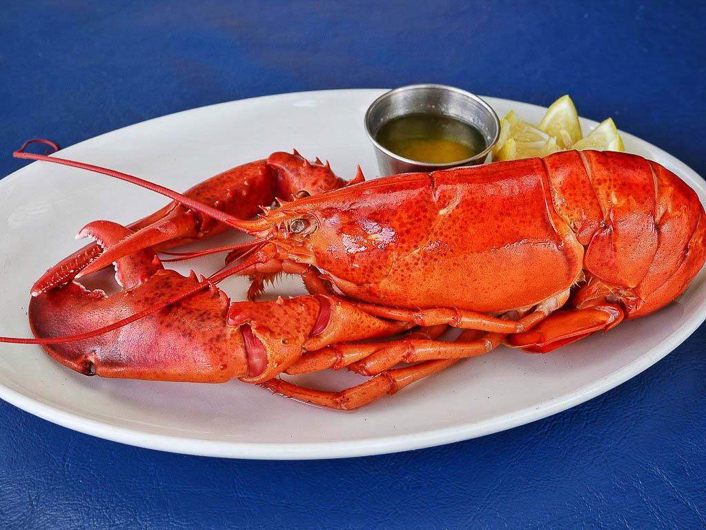 Blog 2 Nauti Lobstah 1 pound Maine Lobster Special